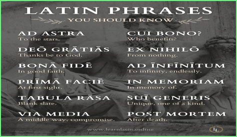 A Profile Of A Latin Beauty